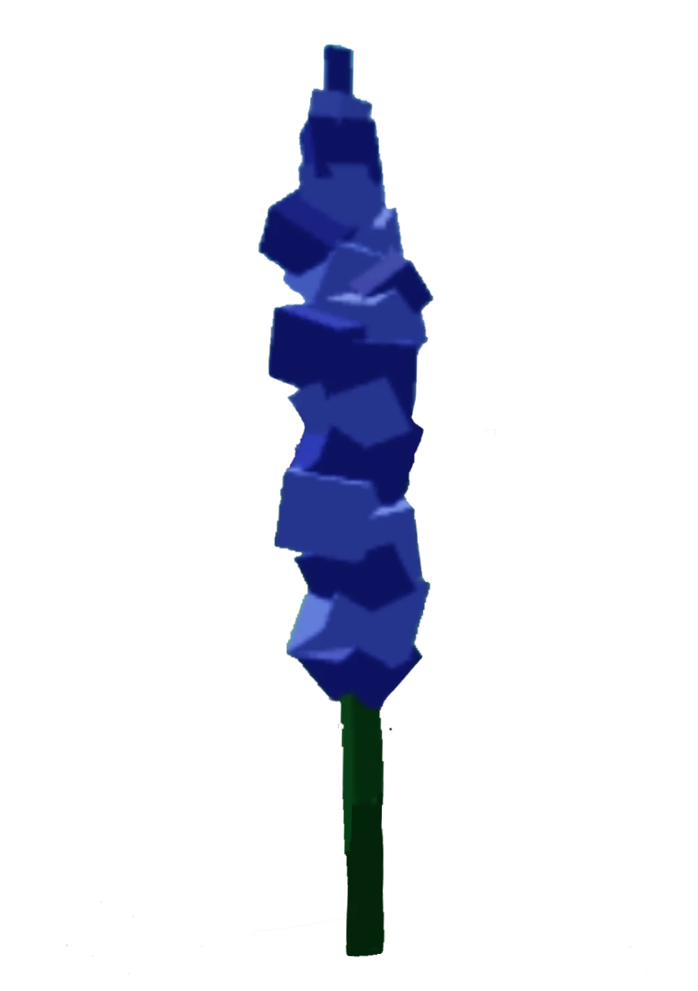 Delphinium